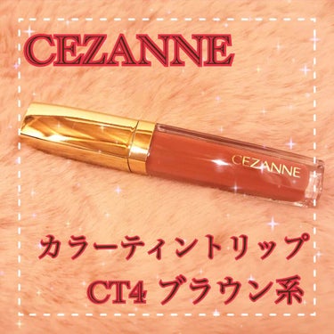 カラーティントリップ CT4 ブラウン系/CEZANNE/口紅を使ったクチコミ（1枚目）