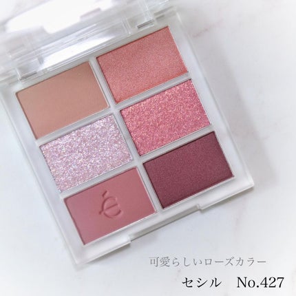 プロアイシャドウパレットセシル/CELEFIT/アイシャドウパレットを使ったクチコミ(4枚目)