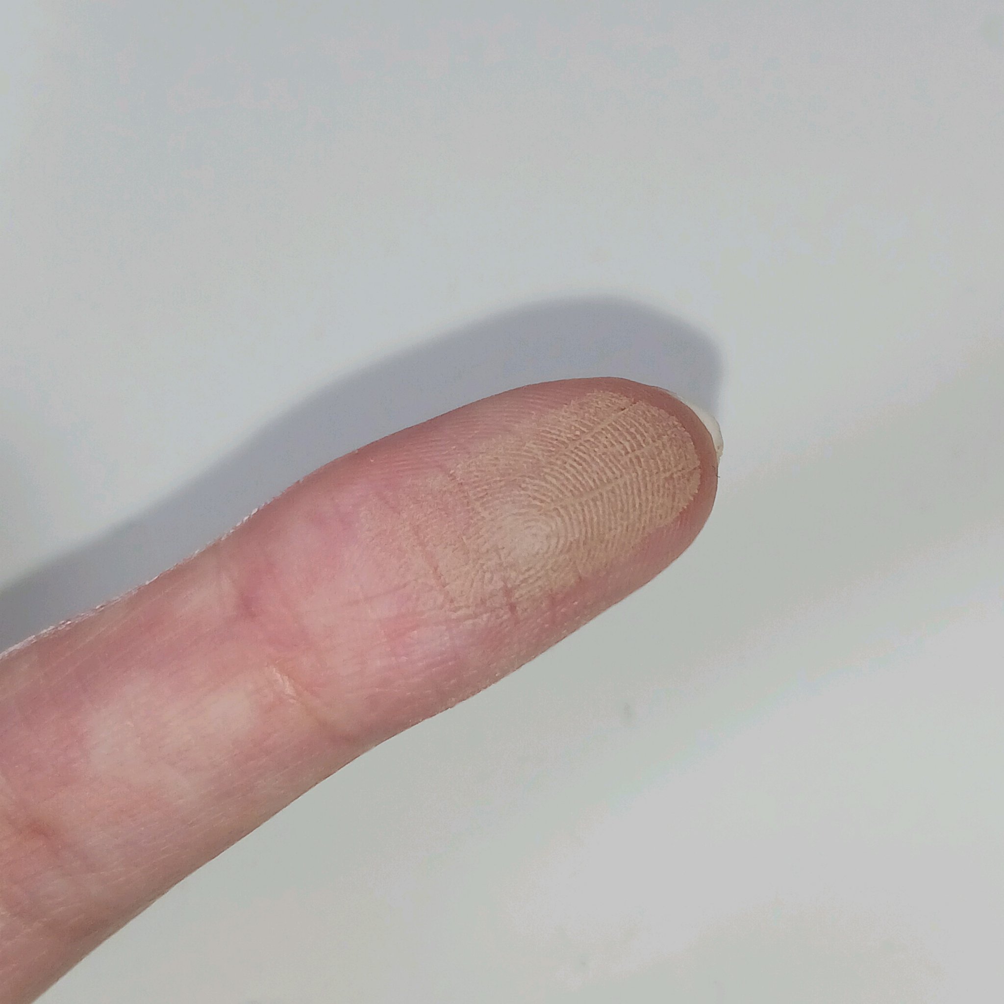 シェーディングパウダー/キャンメイク/シェーディングを使ったクチコミ（3枚目）