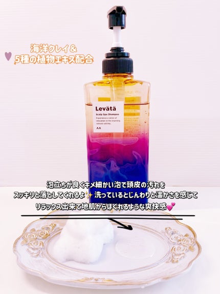 レバタ スカルプスパ シャンプー/トリートメント/Levätä/市販シャンプーを使ったクチコミ(2枚目)