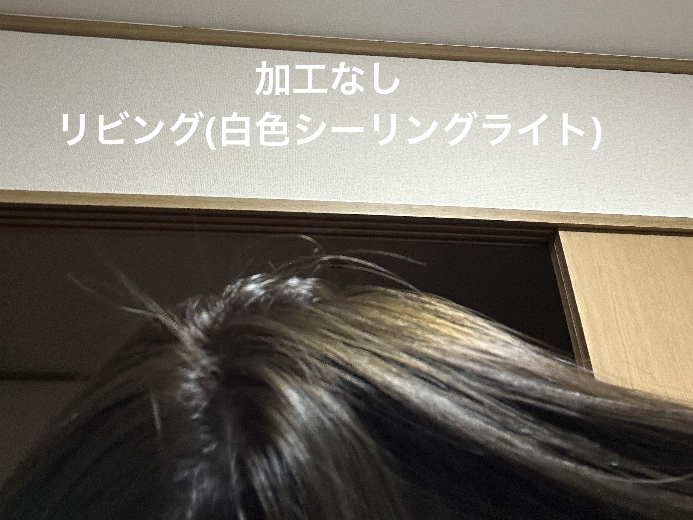 ホイップヘアカラー/ビューティラボ/ヘアカラーを使ったクチコミ（3枚目）