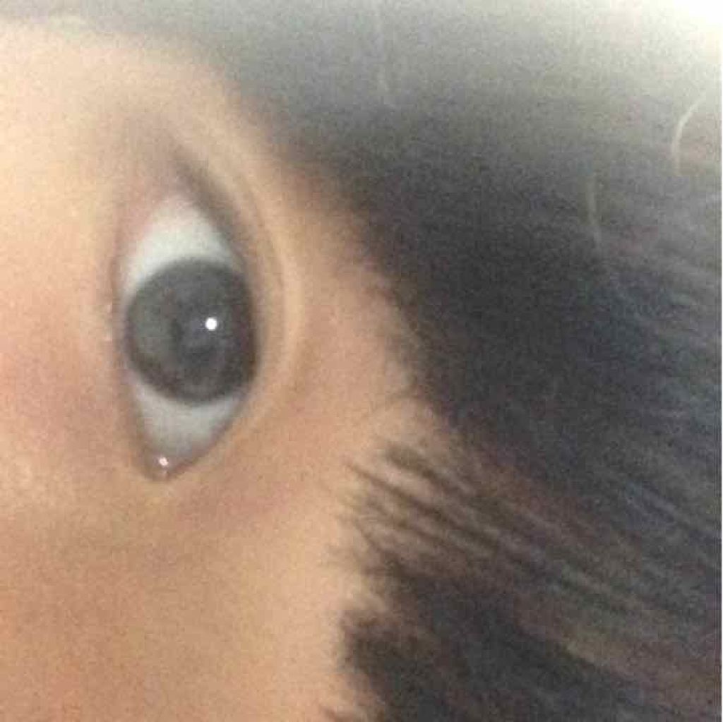 キューティ・キューティ Z/キューティ・キューティ/二重まぶた用アイテムを使ったクチコミ（3枚目）