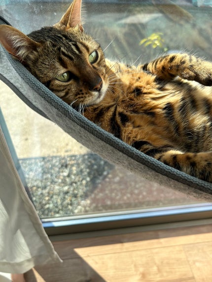 「密着アイライナー」クリームペンシル/デジャヴュ/ペンシルアイライナーを使ったクチコミ(9枚目)