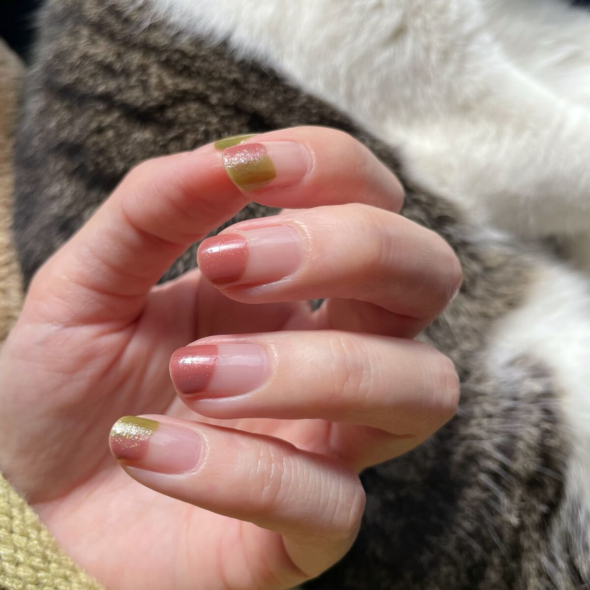 カラフルネイルズ/キャンメイク/マニキュアを使ったクチコミ(1枚目)