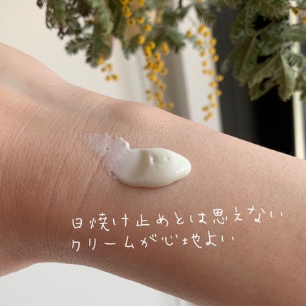 ニュアンスチェンジUV ジェル CL/アリィー/日焼け止めジェルを使ったクチコミ(2枚目)