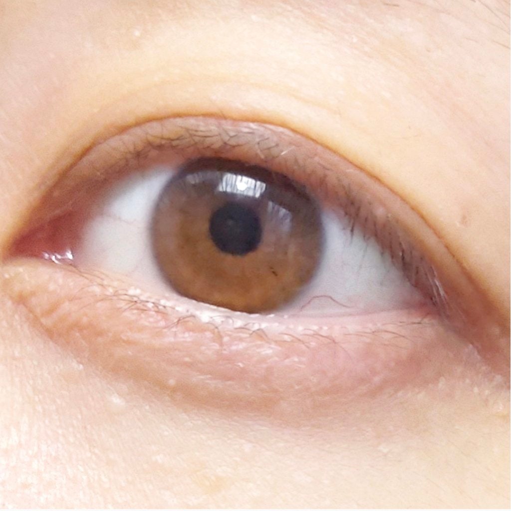 1DAY Refrear elebelle/Refrear/ワンデー(1DAY)カラコンを使ったクチコミ(4枚目)