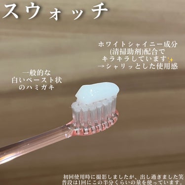 プレミアム ステインクリア ペースト プレミアムミント/オーラツー/歯磨き粉の画像
