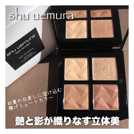 アイスカルプト/shu uemura/アイシャドウパレットを使ったクチコミ(1枚目)
