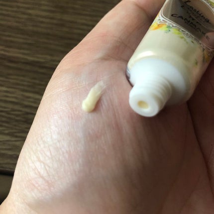 ラスティングマルチアイベース WP/キャンメイク/アイシャドウベースを使ったクチコミ(2枚目)