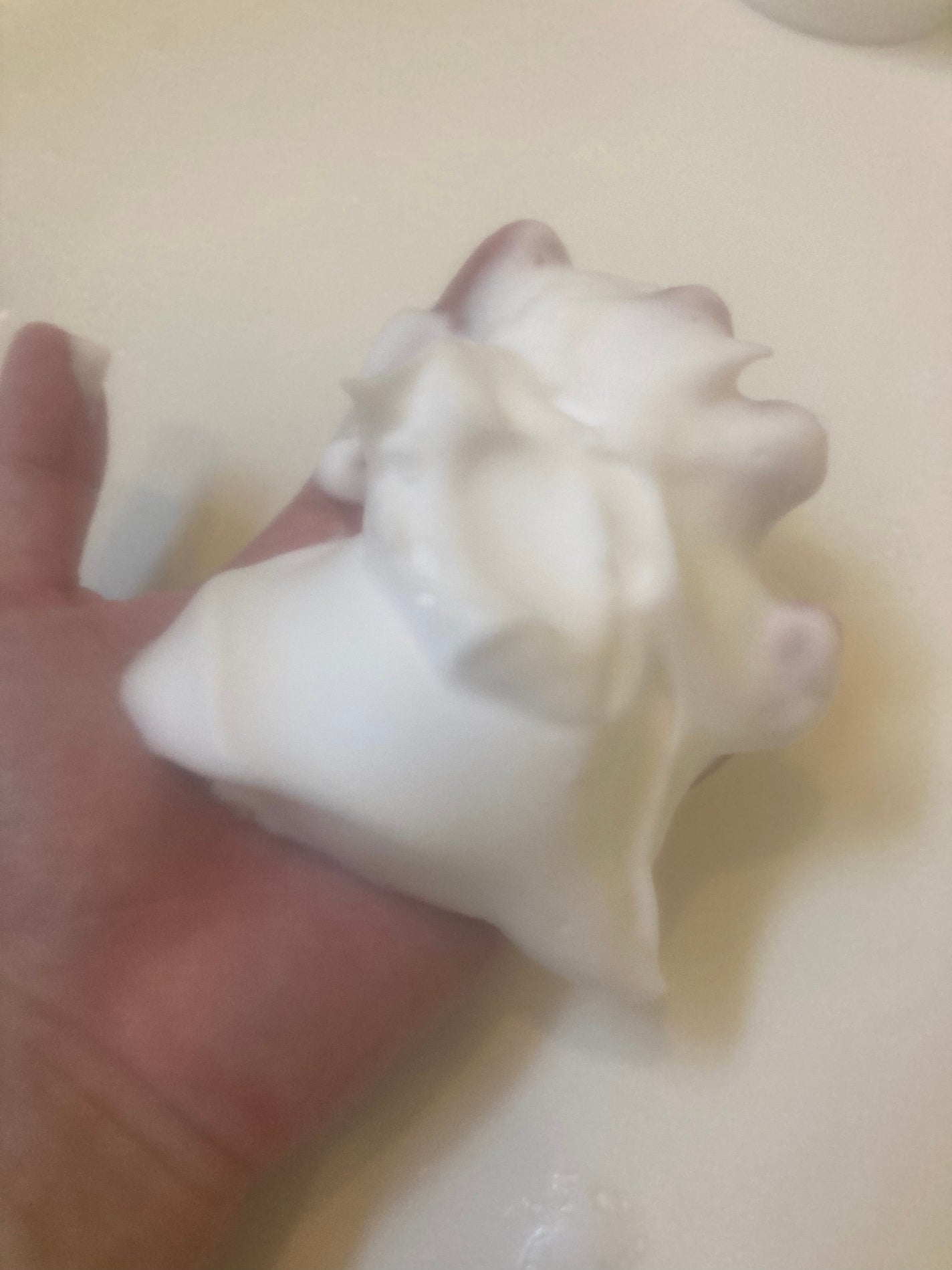 洗顔フォーム/マニフィーク/洗顔フォームを使ったクチコミ(3枚目)