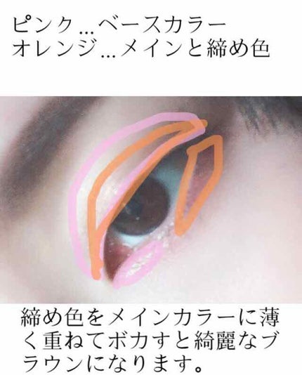 トーンアップアイシャドウ/CEZANNE/アイシャドウパレットを使ったクチコミ(2枚目)