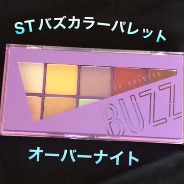 ＳＴバズカラーパレット/BUZZ/アイシャドウパレットを使ったクチコミ（2枚目）