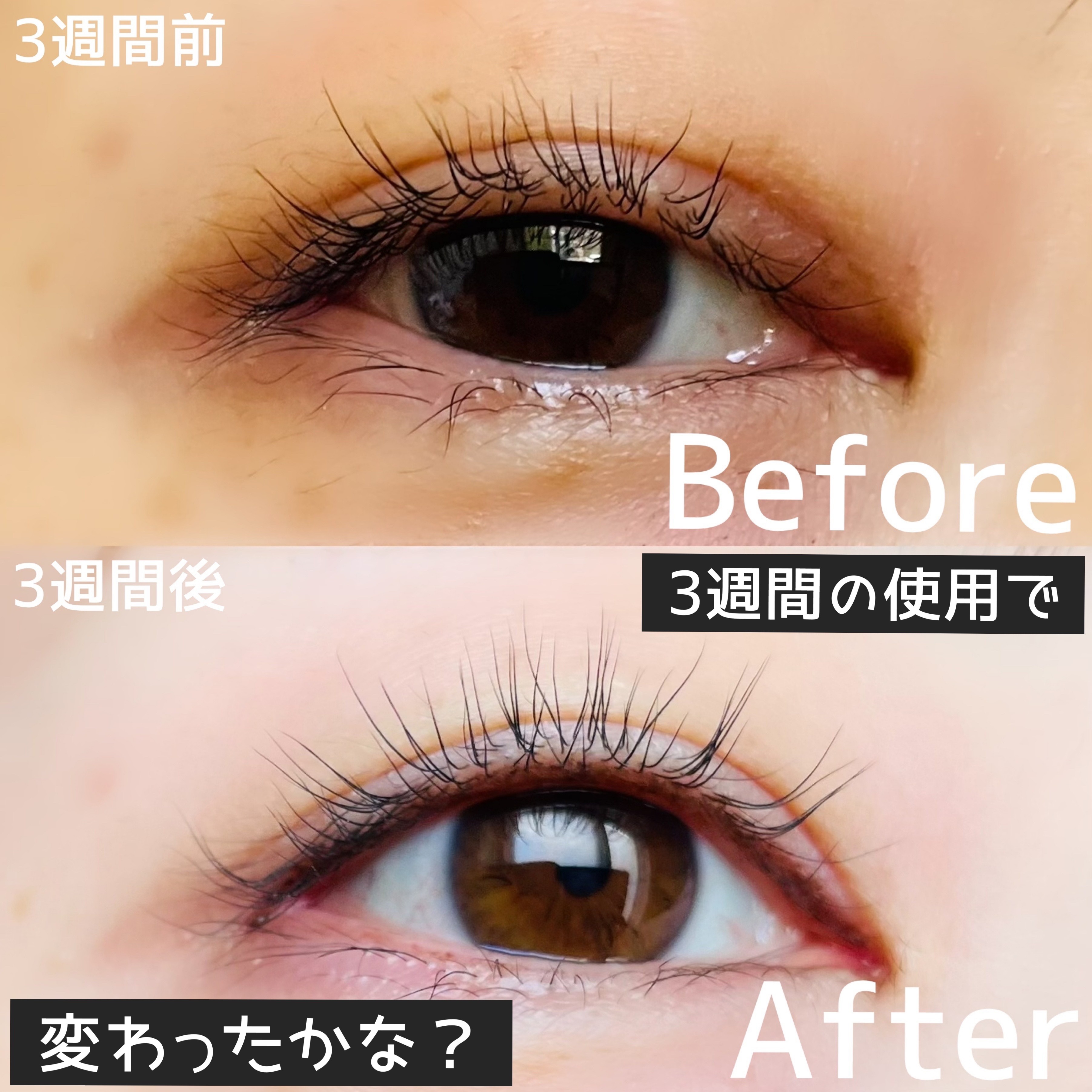 アイラッシュセラム/BASATTO/まつげ美容液を使ったクチコミ（3枚目）