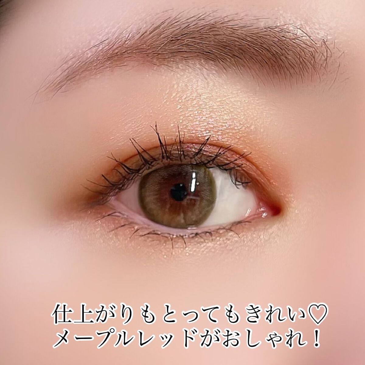 シグニチャー カラー アイズ/SUQQU/アイシャドウパレットを使ったクチコミ(4枚目)