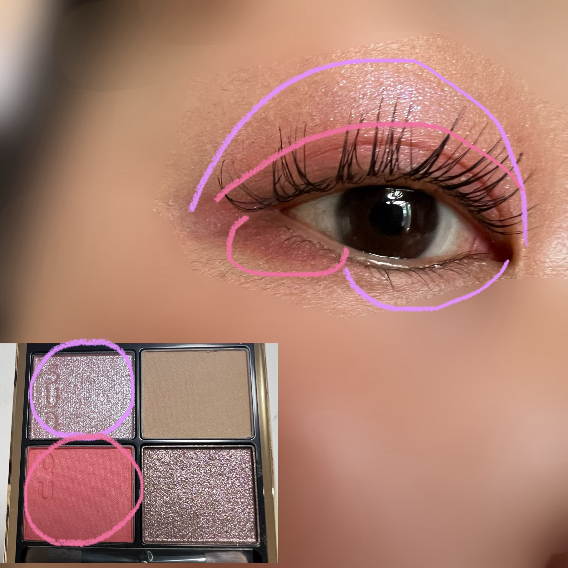 シグニチャー カラー アイズ/SUQQU/アイシャドウパレットを使ったクチコミ（2枚目）