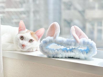 ネコ耳ヘアターバン/sugar.C beauty/ヘアアクセサリーを使ったクチコミ(1枚目)