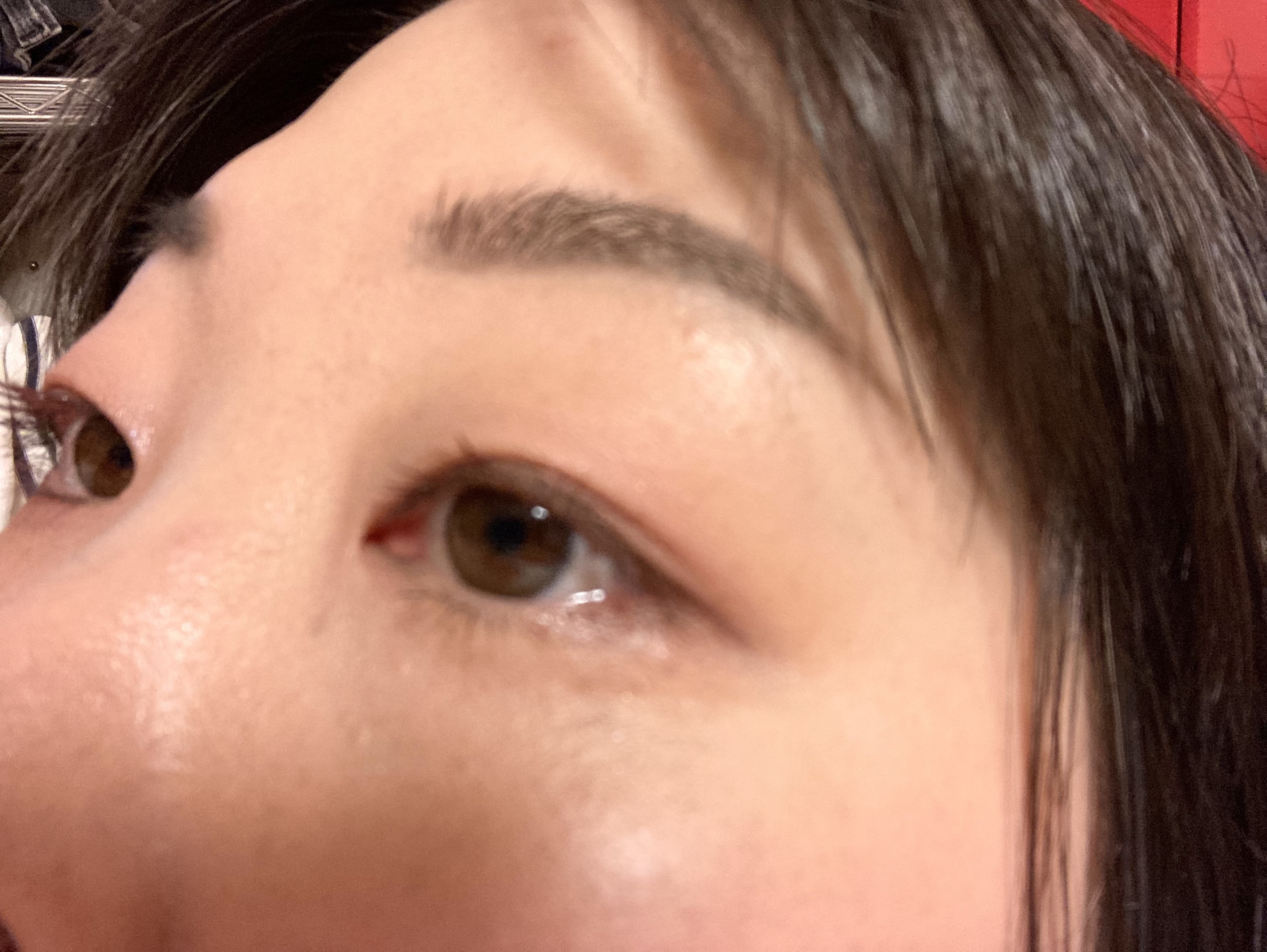 ブルーミング エディション シークレット ガーデン パレット/DEAR DAHLIA/アイシャドウパレットを使ったクチコミ（2枚目）