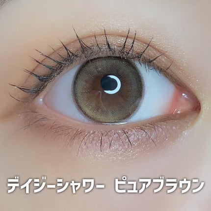 Daisy Shower 1Day/chuu LENS/ワンデー(1DAY)カラコンを使ったクチコミ(4枚目)