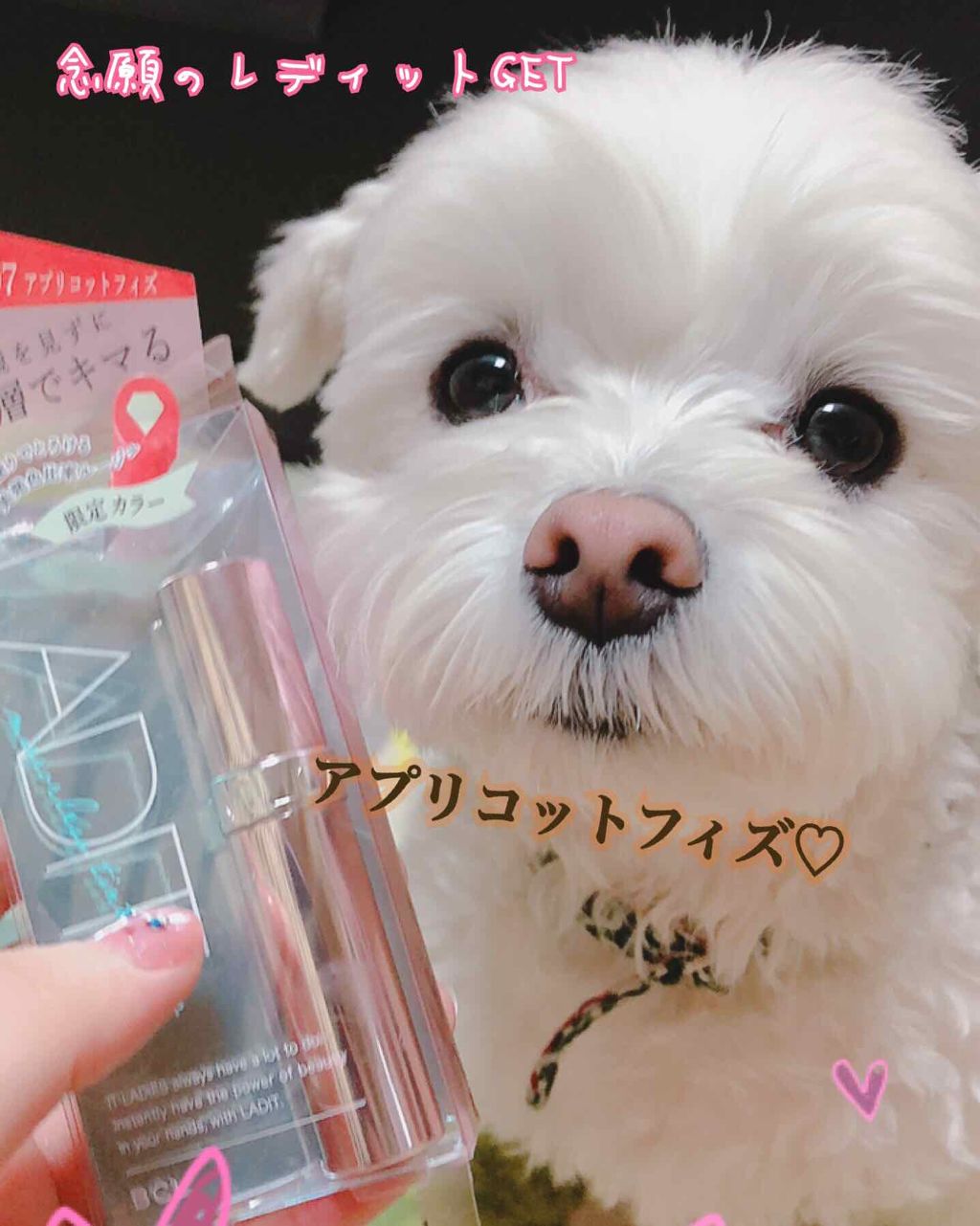 ミラーレスティントルージュ/レディット/リップティントを使ったクチコミ（1枚目）