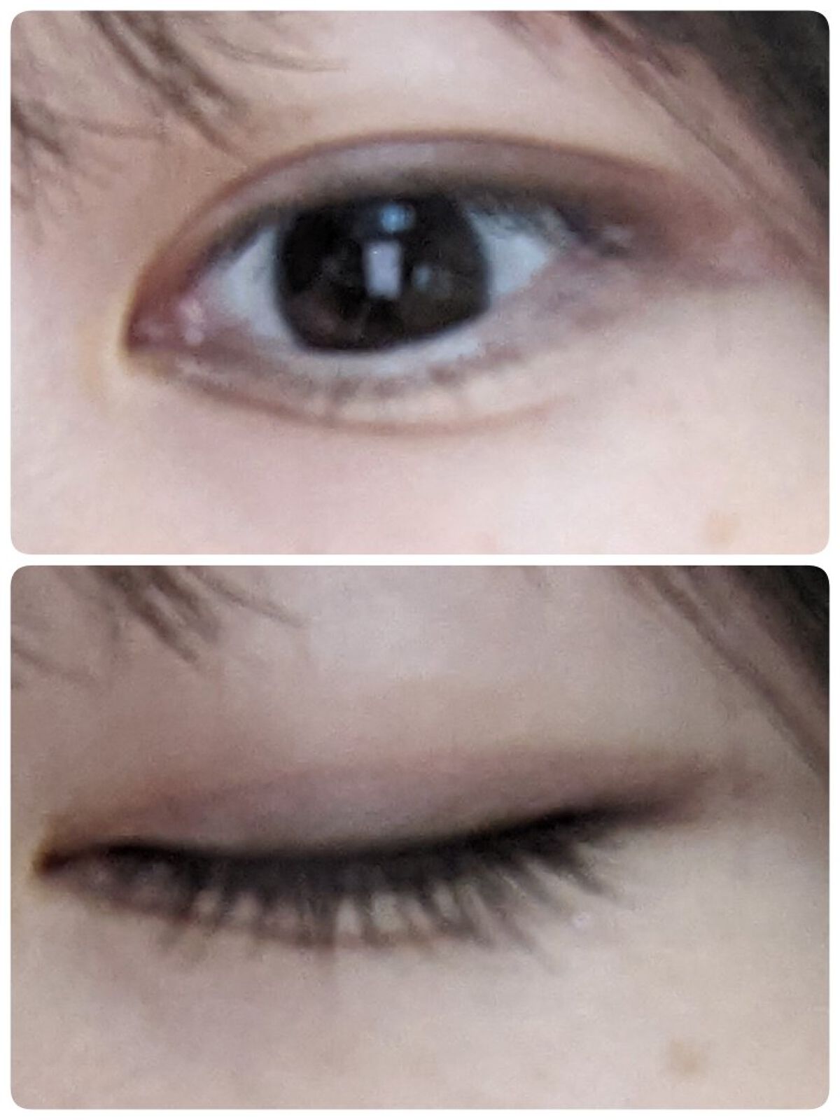 パウダー チーク/ちふれ/パウダーチークを使ったクチコミ（2枚目）