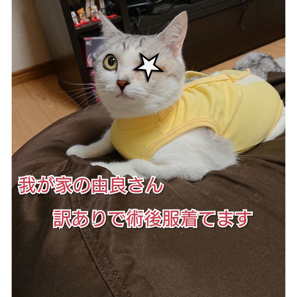 ネイルパーツ/ネイルチップ・パーツを使ったクチコミ（2枚目）