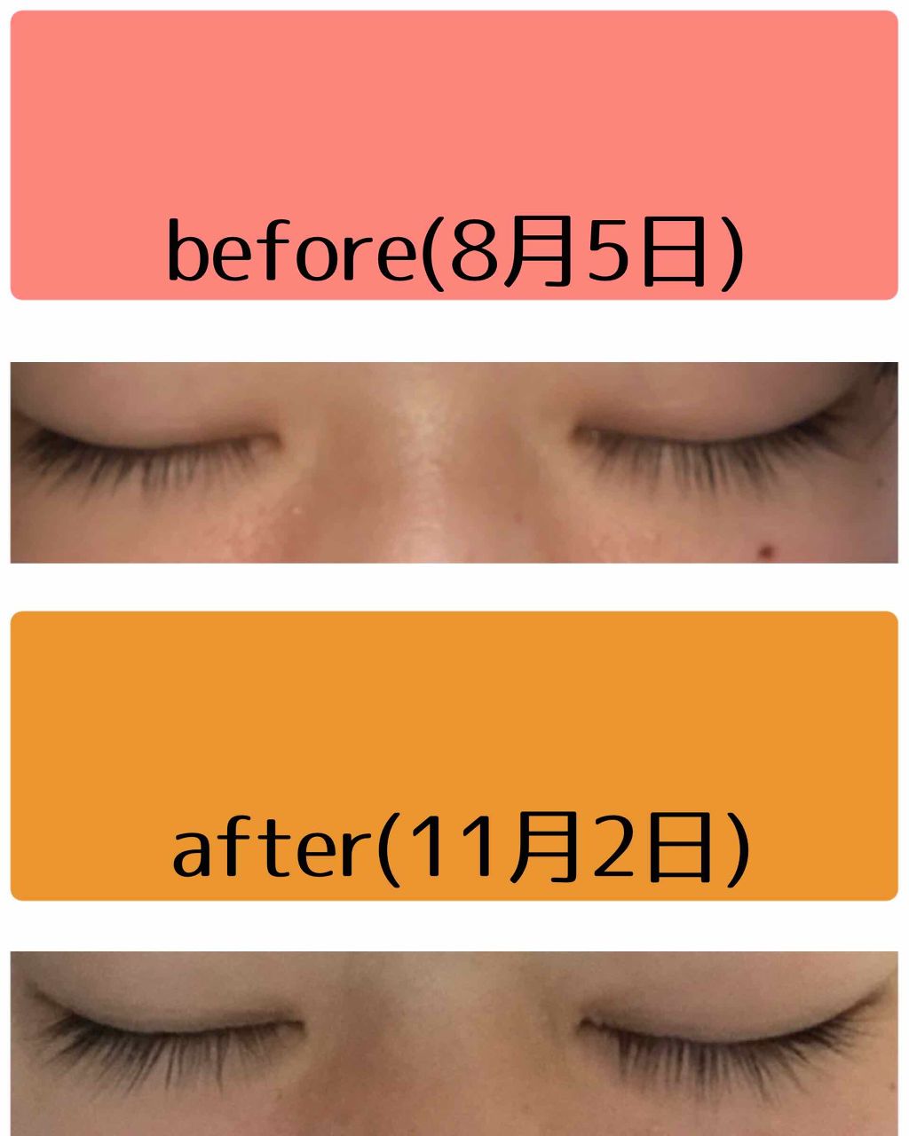 まつ毛美容液/CEZANNE/まつげ美容液を使ったクチコミ（2枚目）