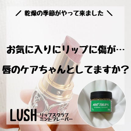 ミントフレーバー リップスクラブ/ラッシュ/リップスクラブを使ったクチコミ(1枚目)