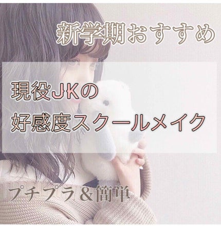 皮脂テカリ防止下地/CEZANNE/化粧下地を使ったクチコミ(1枚目)