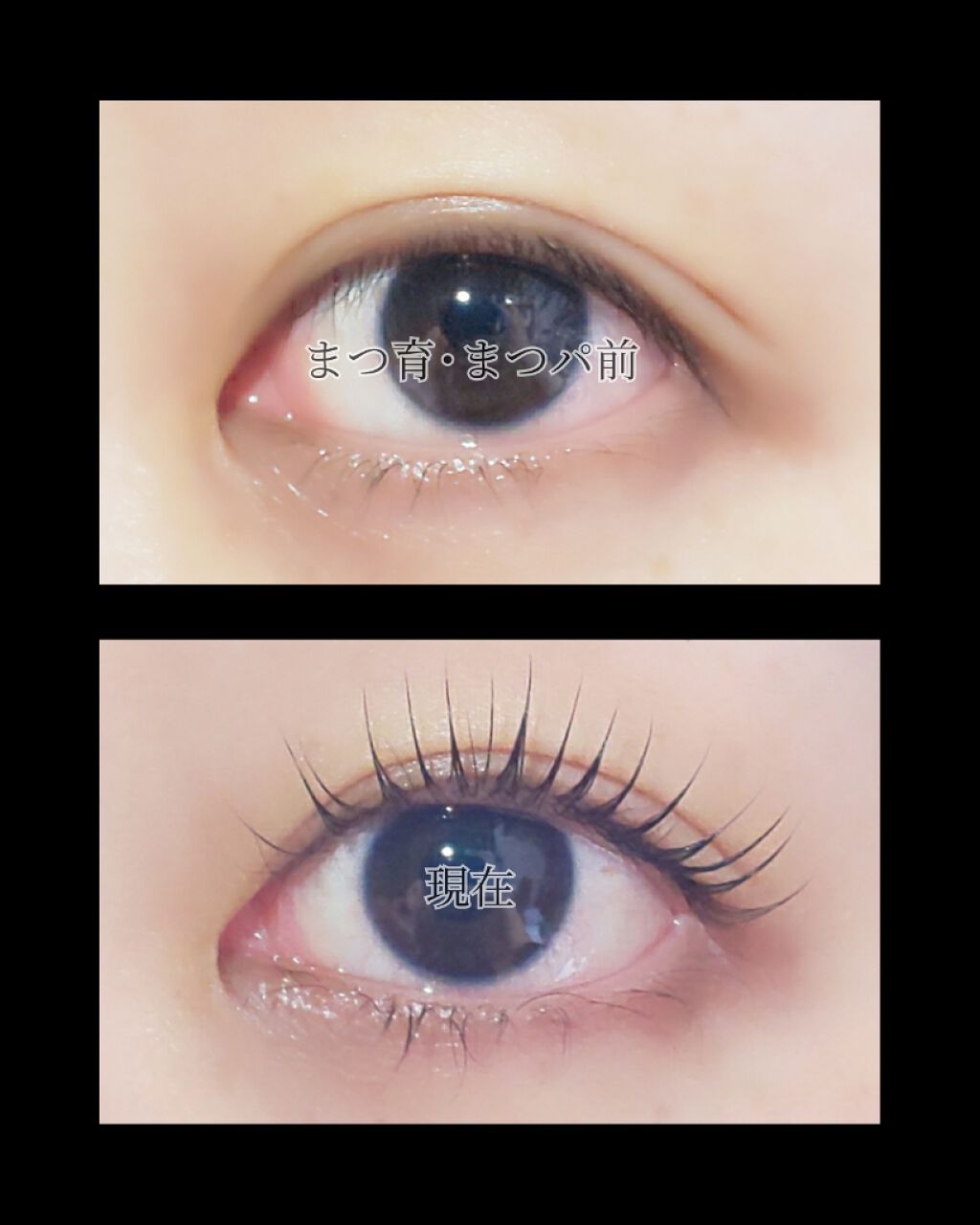 エグータム/アルマダスタイル/まつげ美容液を使ったクチコミ（2枚目）