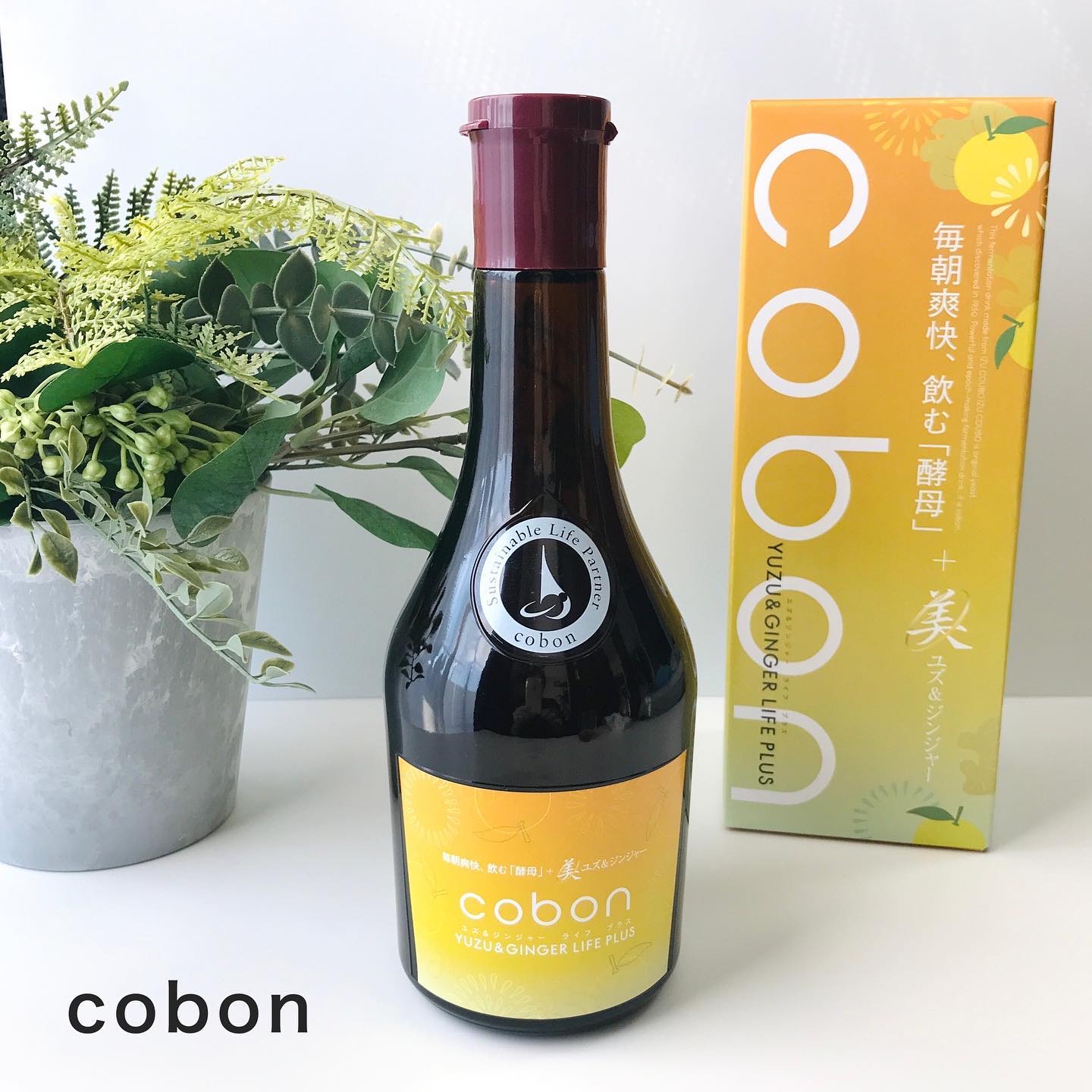 コーボンユズ＆ジンジャーライフプラスN525/COBON/酵素ドリンクを使ったクチコミ（1枚目）