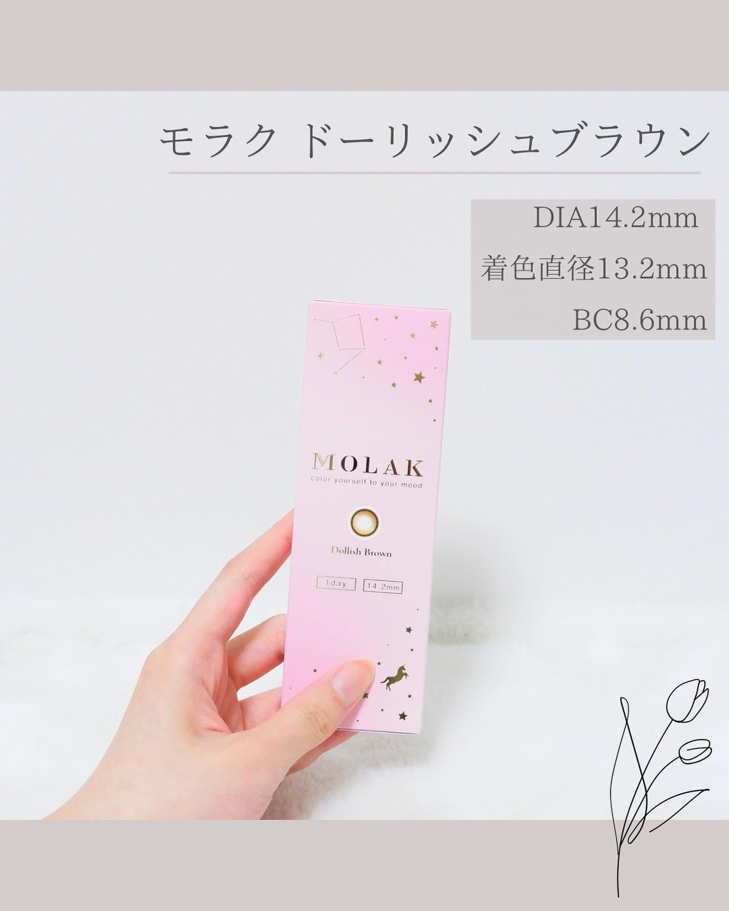 MOLAK 1day/MOLAK/ワンデー(1DAY)カラコンを使ったクチコミ(2枚目)