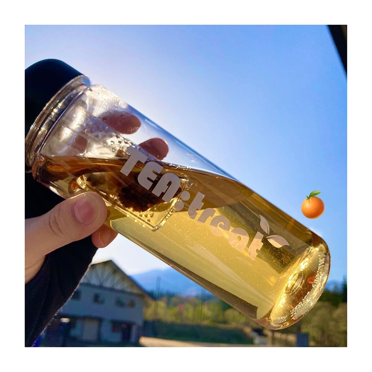 みかんを食べたヨウティー/TEA:Treat/ドリンクを使ったクチコミ(1枚目)