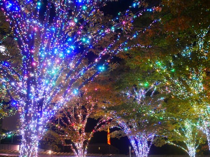 카코얀(かこやん) on LIPS 「メリークリスマス🎄🎁#クリスマス..」(4枚目)