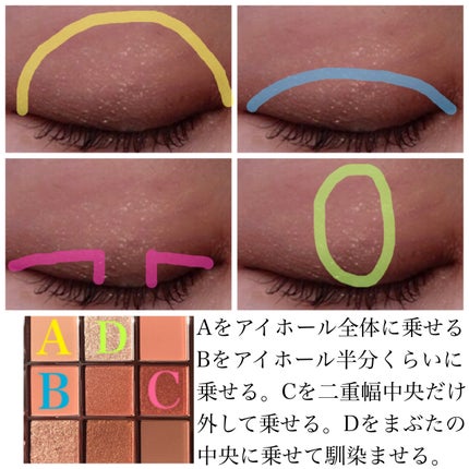 The Bella collection eyeshadow palette/CELEFIT/アイシャドウパレットを使ったクチコミ(2枚目)