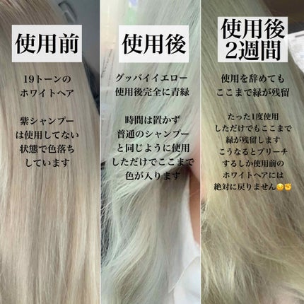 グッバイ イエロー カラーシャンプー/シュワルツコフ プロフェッショナル/市販シャンプーを使ったクチコミ(2枚目)