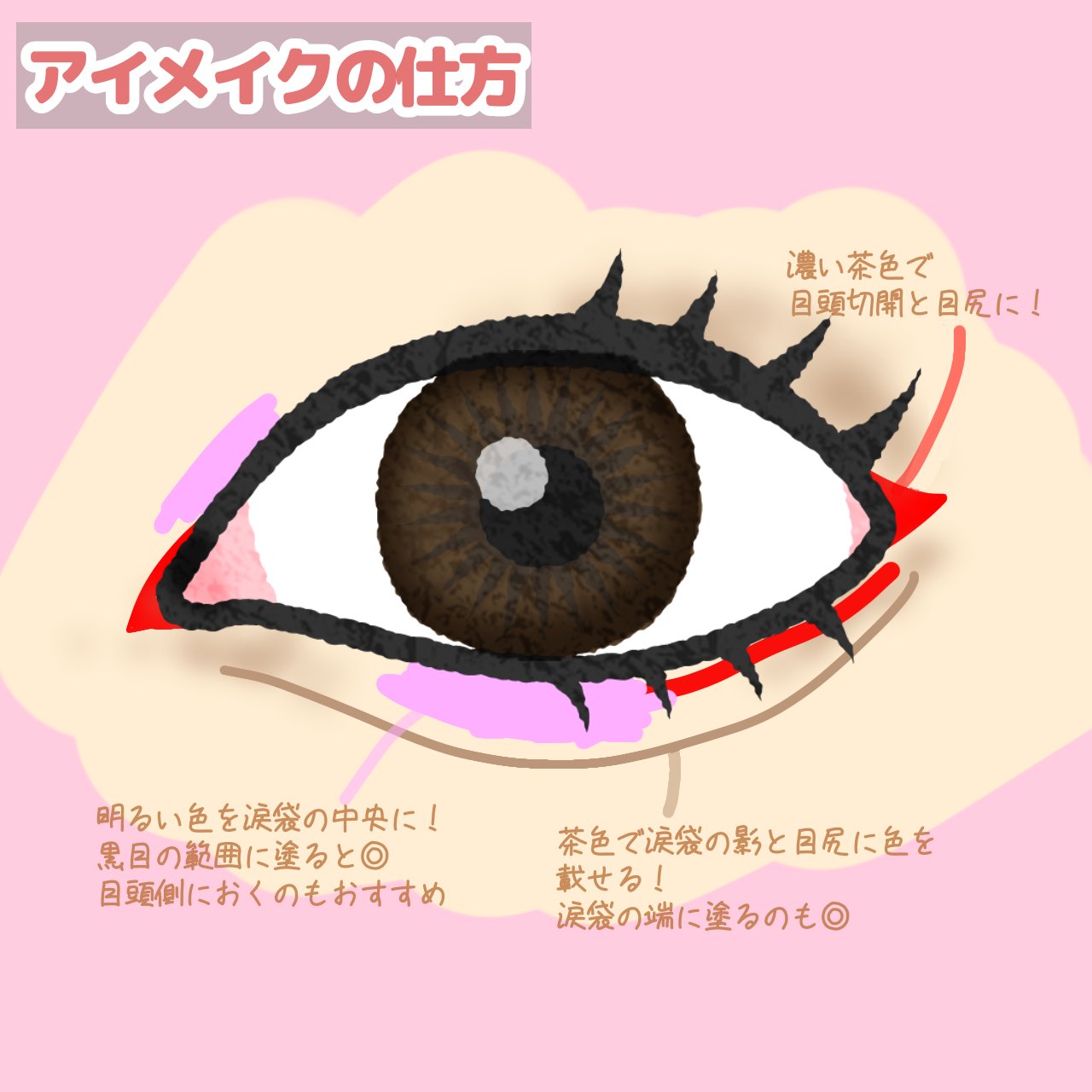 MFL アイシャドウ ベージュ/moitiful/アイシャドウパレットを使ったクチコミ（3枚目）