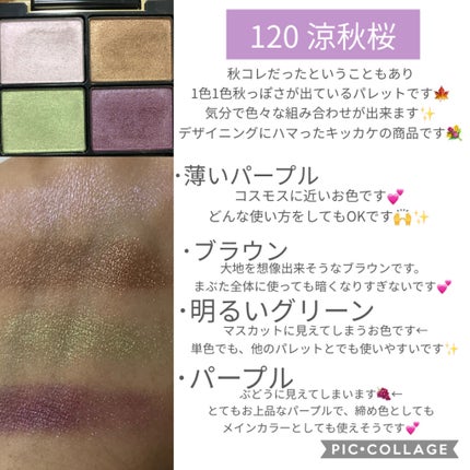 デザイニング カラー アイズ/SUQQU/アイシャドウパレットを使ったクチコミ(3枚目)