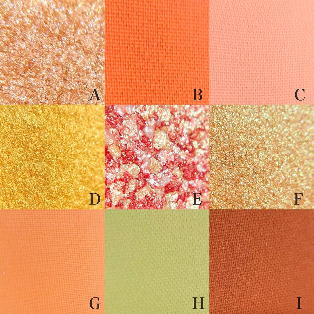 長相思シリーズ 9色アイシャドウパレット/CATKIN/アイシャドウパレットを使ったクチコミ（3枚目）