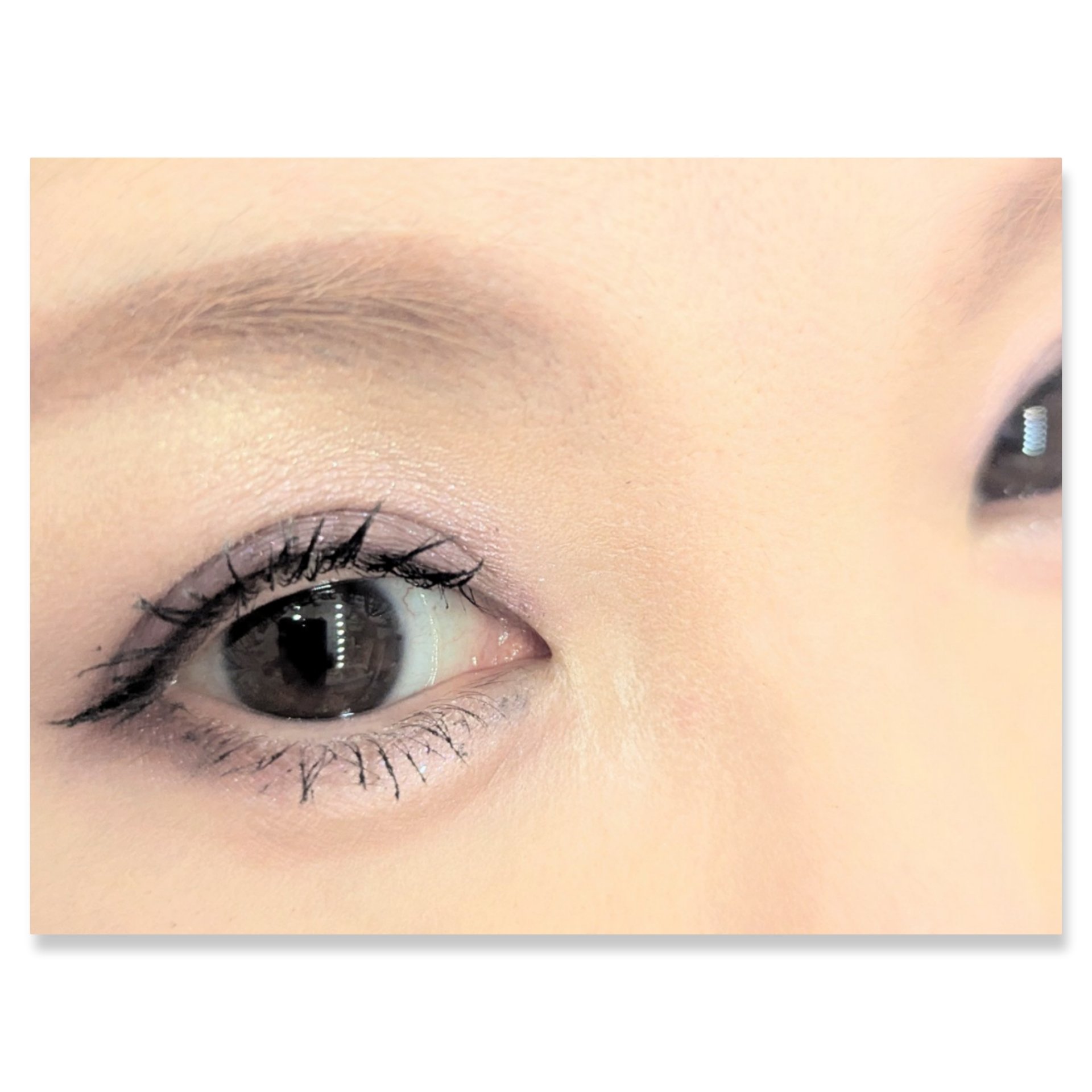 シルキースフレアイズ/キャンメイク/アイシャドウパレットを使ったクチコミ（2枚目）