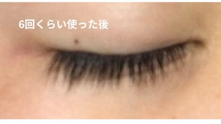 アイラッシュセラム/THE STEM CELL/まつげ美容液を使ったクチコミ(3枚目)