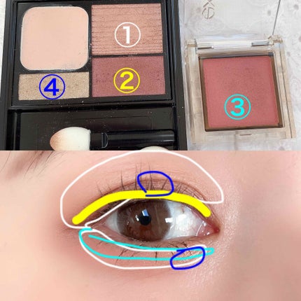 ドラマティックスタイリングアイズD/マキアージュ/アイシャドウパレットを使ったクチコミ(3枚目)