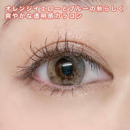 i-shaアイシャ Season Eye/蜜のレンズ/カラーコンタクトレンズを使ったクチコミ(5枚目)
