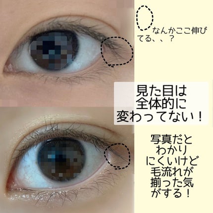 ハンオールラッシュセラム/rom&nd/まつげ美容液を使ったクチコミ(2枚目)