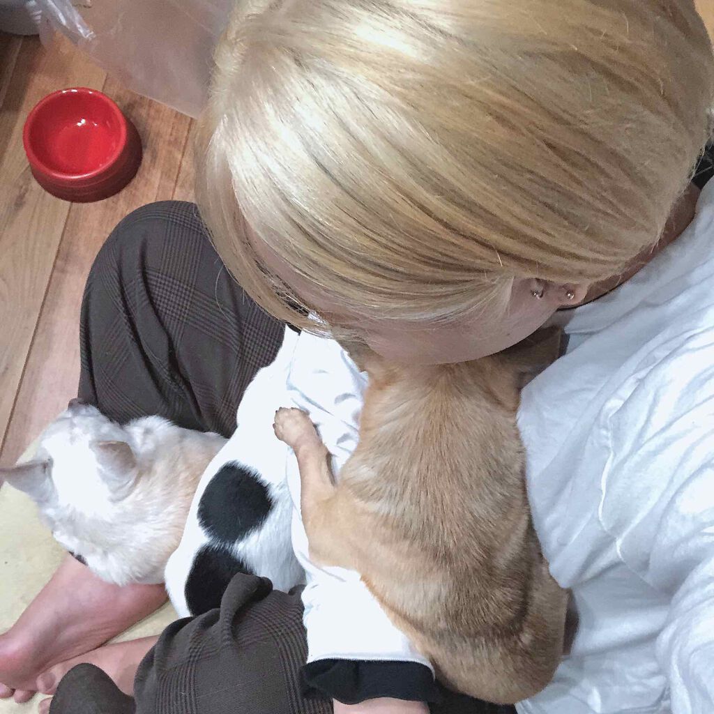 補修ミルク もっととてもしっとり/ビューティラボ/ヘアミルクを使ったクチコミ(3枚目)