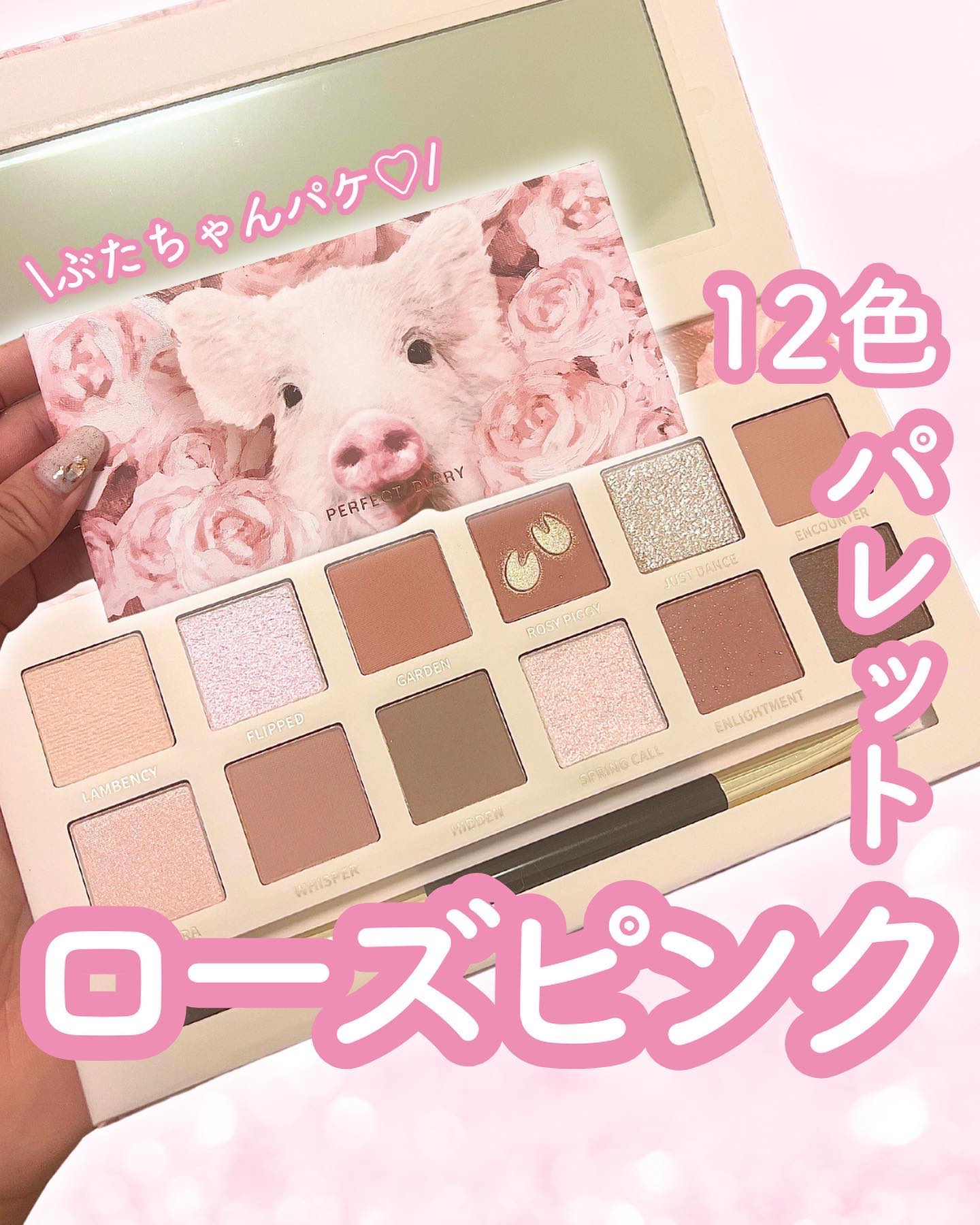 エクスプローラ12色 動物アイシャドウパレット/PERFECT DIARY/アイシャドウパレットを使ったクチコミ（1枚目）