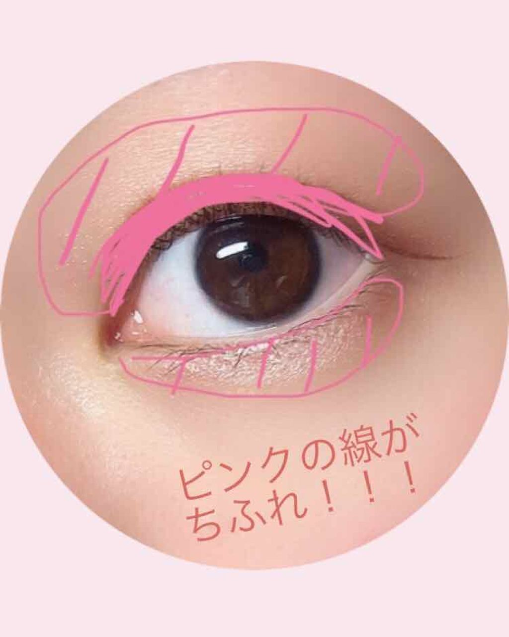 アイ カラー(チップ付)/ちふれ/アイシャドウパレットを使ったクチコミ（2枚目）