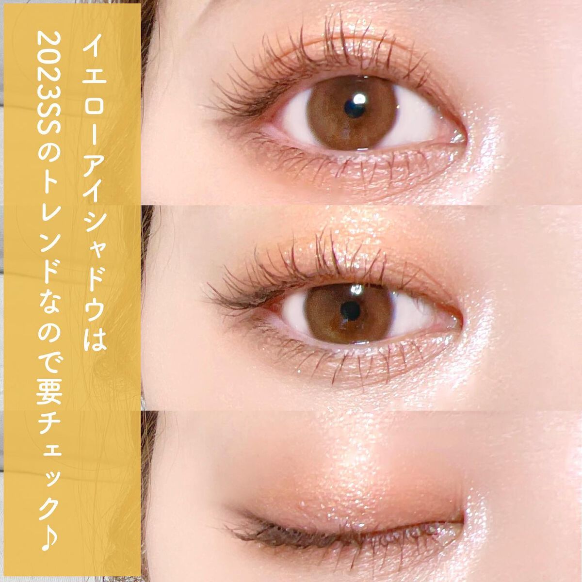 ソフトクレイビームアイシャドウパレット/AMIOK/ジェル・クリームアイシャドウを使ったクチコミ（2枚目）