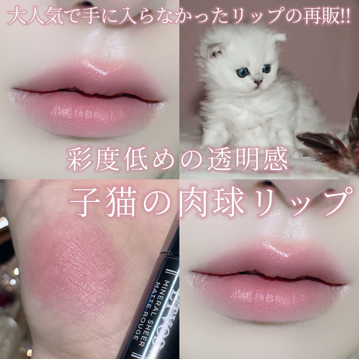 ミネラルシアーマットルージュ/エトヴォス/口紅を使ったクチコミ(1枚目)