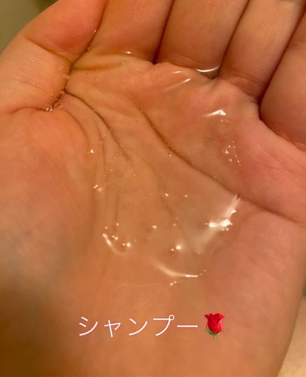 ローズリラックスシャンプー&トリートメント トライアル 1回分/ROSE LABO/市販シャンプーを使ったクチコミ(2枚目)