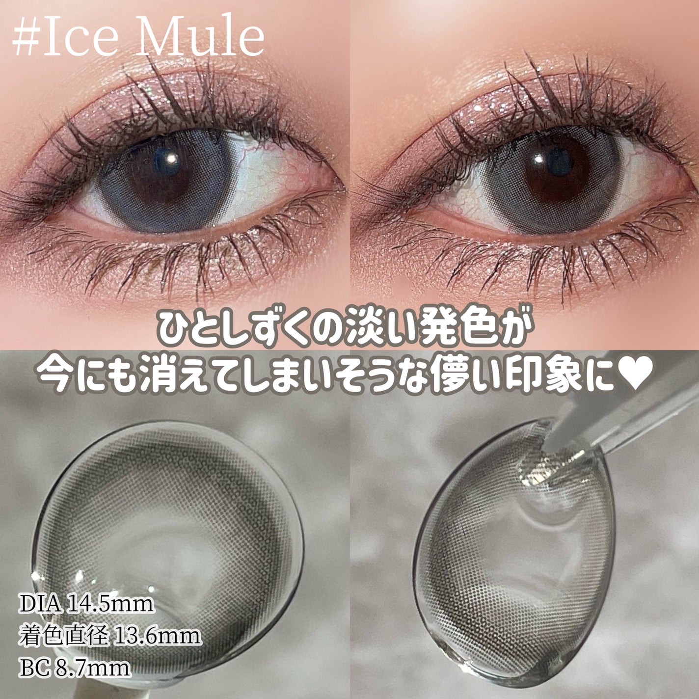 hanachan on LIPS 「ご閲覧ありがとうございます🌸💓気軽に仲良くしてください🐰コスメ..」(4枚目)